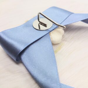 乙女ダリア（ポニーフック）ブルー