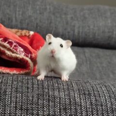 最近のできごと…