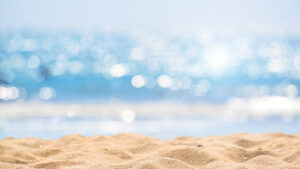 夏のイメージ画像